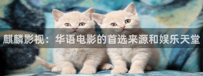全能影视app官网