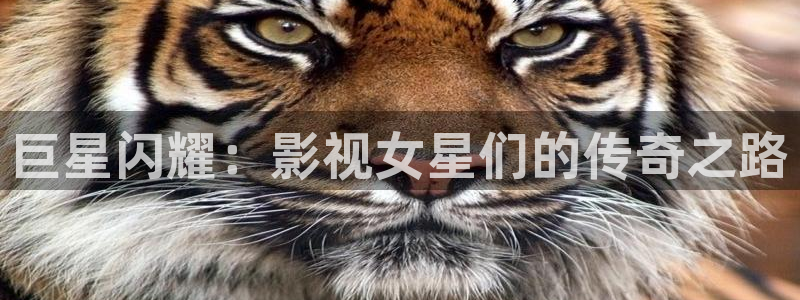 全能影视软件：巨星闪耀：影视女星们的传奇之路