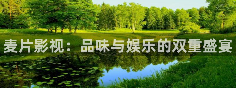 全能播放器电视版：麦片影视：品味与娱乐的双重盛宴