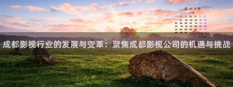 全能影视剧：成都影视行业的发展与变革：聚焦成都影视公司的机遇与挑战