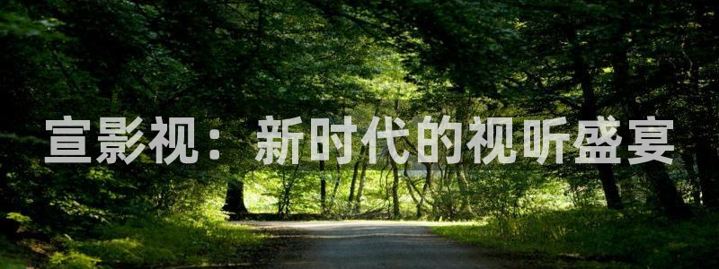 全能影视网站：宣影视：新时代的视听盛宴