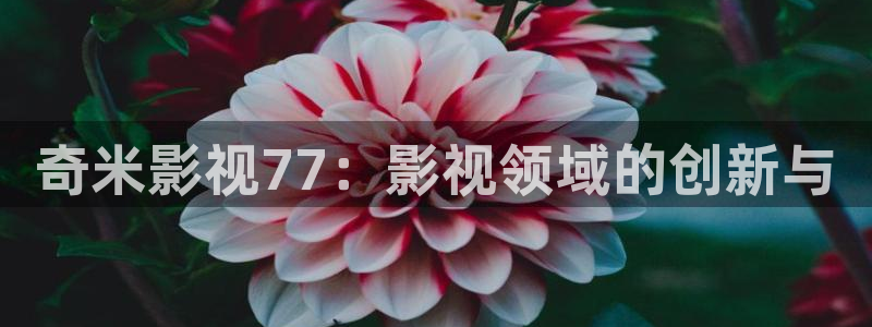 全能电视