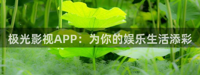 全能影视看电视剧