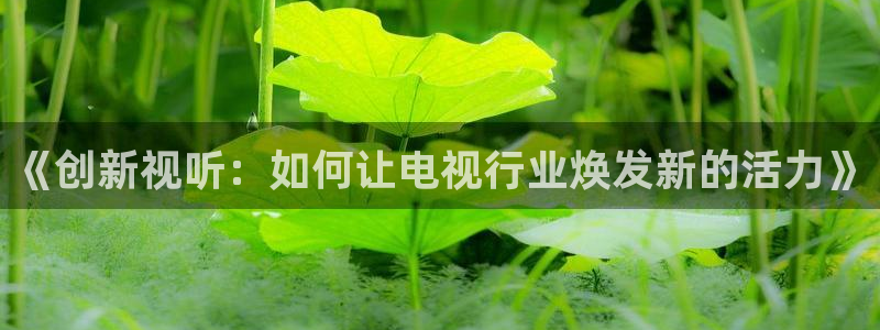 全能影视大全下载：《创新视听：如何让电视行业焕发新的活力》