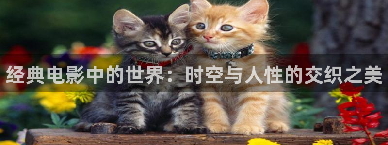 遮天全能影视：经典电影中的世界：时空与人性的交织之美