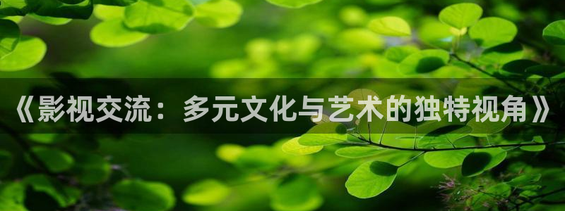 全能影视剧在线观看