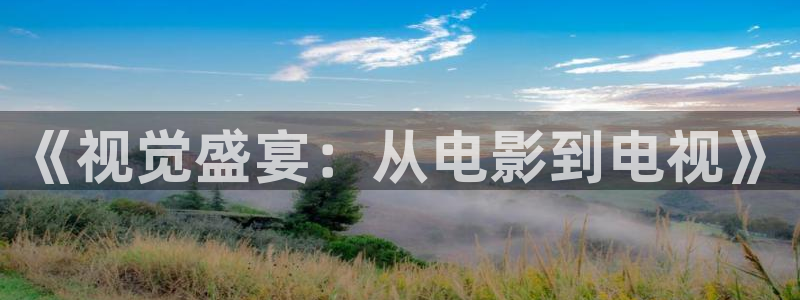 全能电影播放器：《视觉盛宴：从电影到电视》